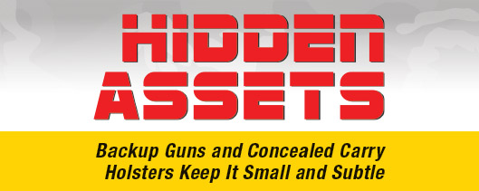 hidden-assets-header