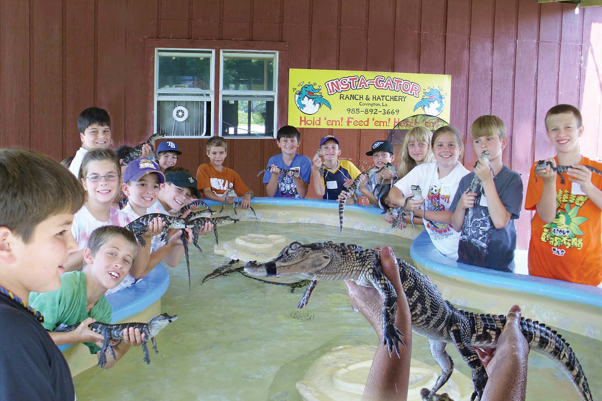 Insta-Gator Alligator Ranch